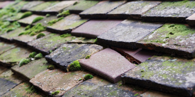 Morfa Bach roof repair costs